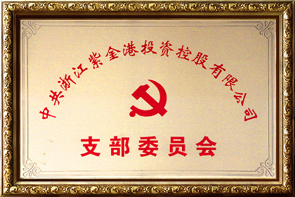 中共紫金港投資控股支部委員會