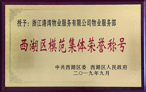 2019年度西湖區(qū)模范集體榮譽稱號